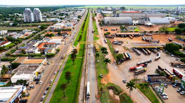 Nova Rota do Oeste remove palmeiras na BR-163 em Lucas do Rio Verde